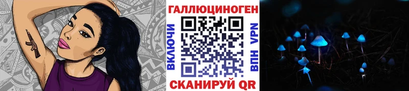 Купить где  Володарск  Псилоцибиновые грибы GOLDEN TEACHER 